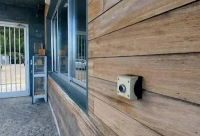 Corvo 1994 리스본